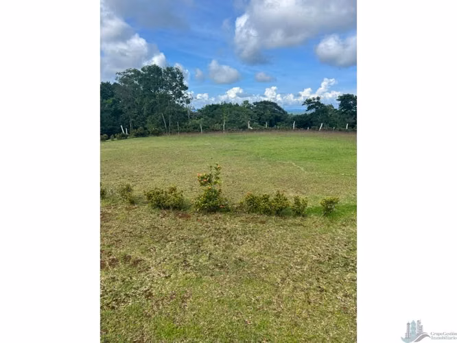 VENTA LOTE CHORRERA EL ESPINO 52 HECTAREAS CV
