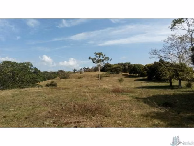 VENTA LOTE CHORRERA EL ESPINO 52 HECTAREAS CV