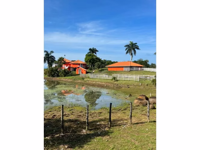 VENTA LOTE CHORRERA EL ESPINO 52 HECTAREAS CV