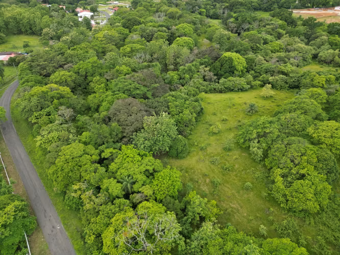 Venta de terreno en San Carlitos, David, Chiriquí