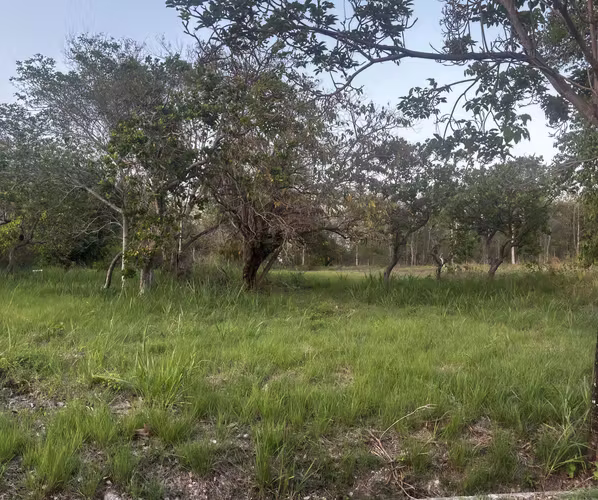 Terreno en Venta – Coronado, Club de Golf – 1,198 m² – Plano – Zonificación R3 - Imagen 9