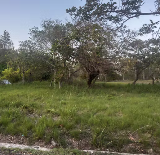 Terreno en Venta – Coronado, Club de Golf – 1,198 m² – Plano – Zonificación R3 - Imagen 5