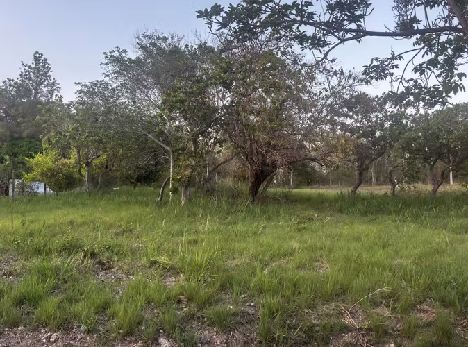 Terreno en Venta – Coronado, Club de Golf – 1,198 m² – Plano – Zonificación R3 - Imagen 8
