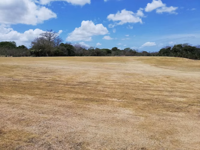 VENDO 4 HECTAREAS Y 5,071 METROS EN PENONOME