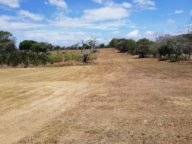 VENDO 4 HECTAREAS Y 5,071 METROS EN PENONOME