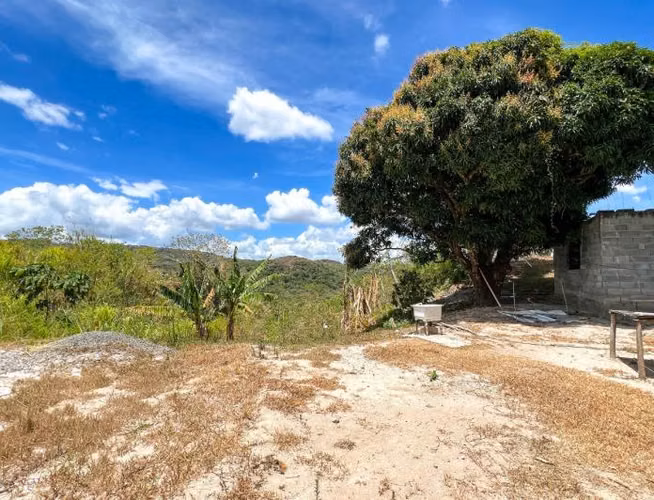 TERRENO 40 HECTAREAS SAN CARLOS