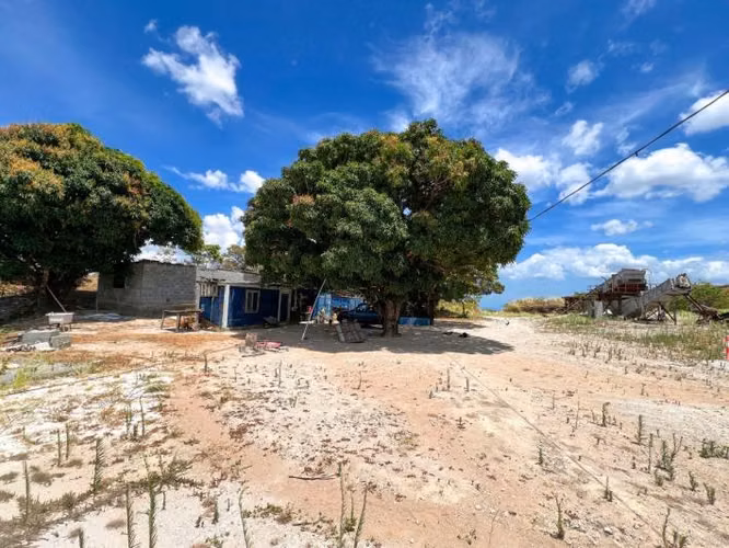 TERRENO 40 HECTAREAS SAN CARLOS