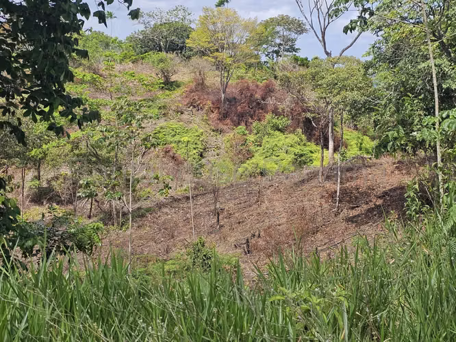 Vendo Terreno OPORTUNIDAD en Colon OF 26-7534