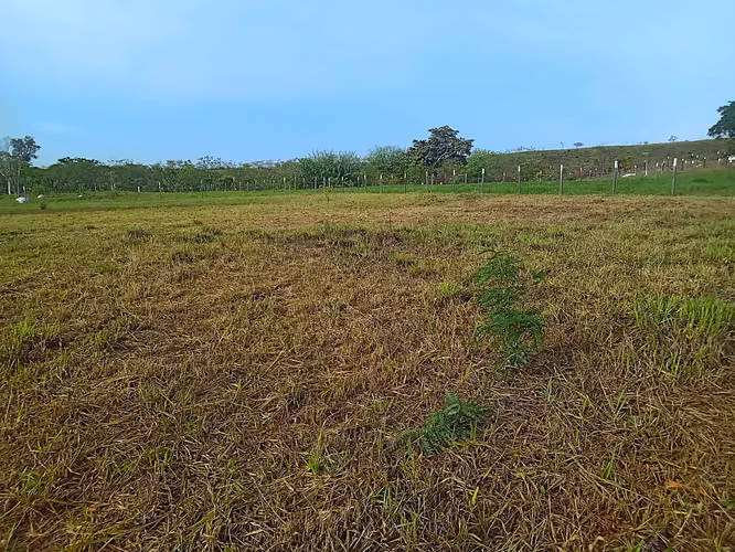 Terreno en Comunidad Privada  - Via Valle de Anton - 3227 mts