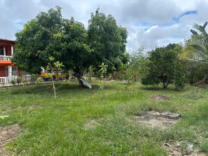  Naturaleza y comodidad en perfecta armonía