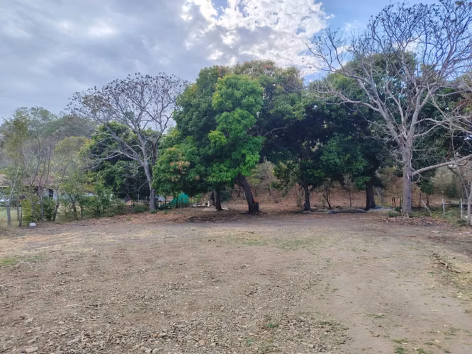 Venta de Lote Titulado Frente al Mar en Playa Bucaro, Tonosí