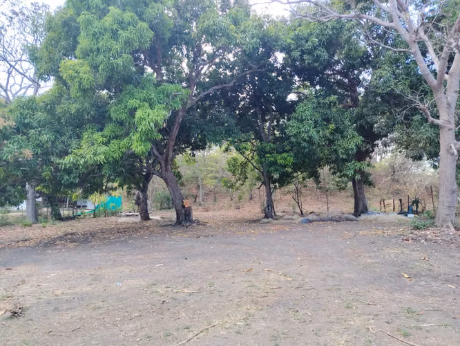 Venta de Lote Titulado Frente al Mar en Playa Bucaro, Tonosí