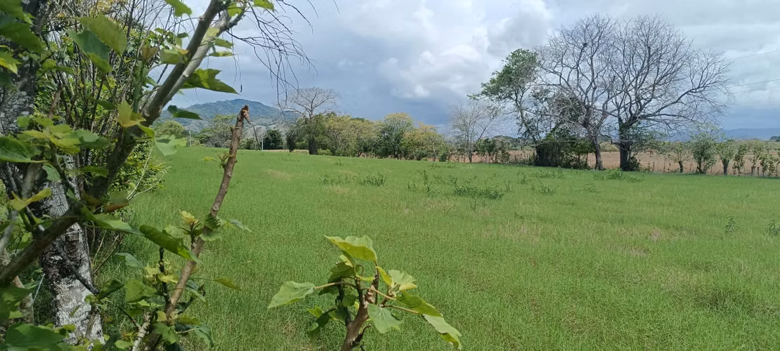 Venta de Lote Titulado de 1,005 m² en Tonosí