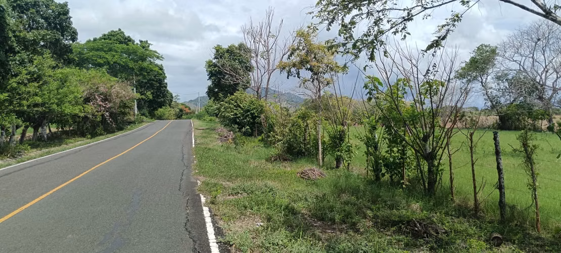Venta de Lote Titulado de 1,005 m² en Tonosí