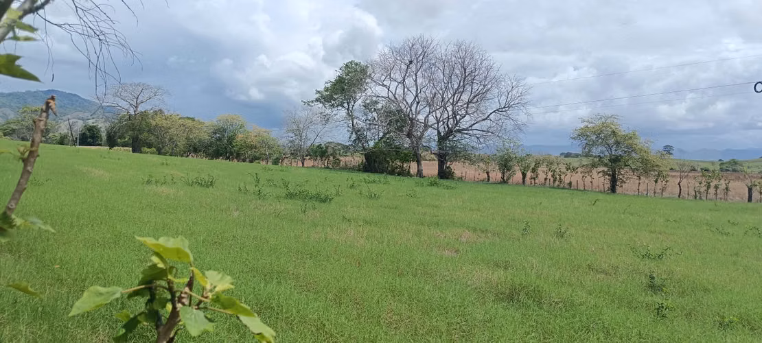 Venta de Lote Titulado de 1,005 m² en Tonosí