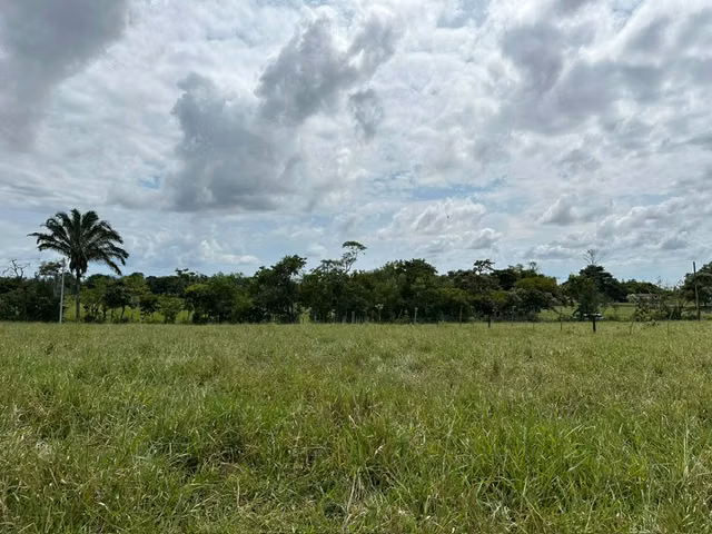 ¡Oportunidad de inversión en Las Yayas, La Chorrera!