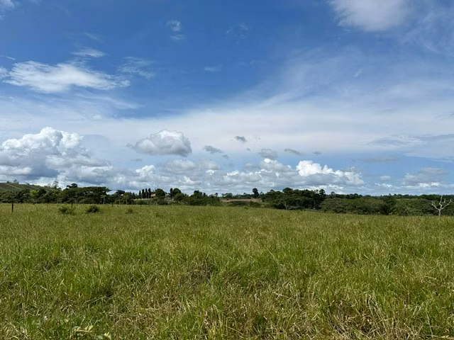 ¡Oportunidad de inversión en Las Yayas, La Chorrera!