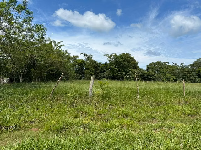 FINCA EN VENTA – 35 HECTÁREAS | LAS YAYAS, LA CHORRERA