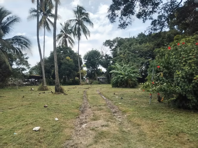 TERRENO EN VENTA – COLONCITO, NUEVA GORGONA, CHAME
