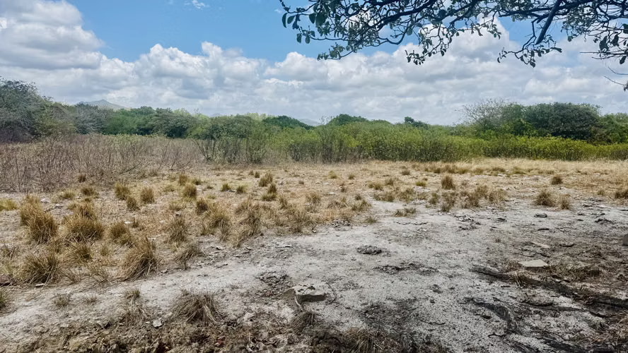Sell $6.50 per meter 18 flat hectares in Coclé via Cerro Gordo