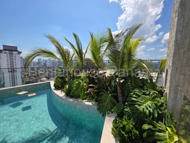 Apartamento en Alquiler en Coco del Mar JG