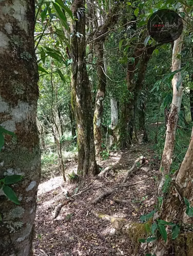 Vendo Terreno con Vista al Volcán Barú/Land for Sale with Volcan View, Boquete