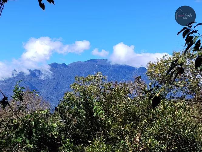 Vendo Terreno con Vista al Volcán Barú/Land for Sale with Volcan View, Boquete