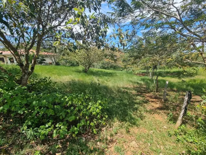 Se vende terreno en San carlitos 1000 mt2 63 mil