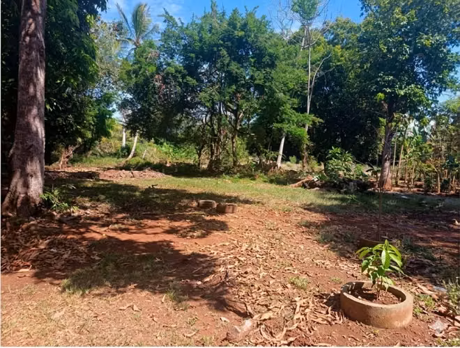 OPORTUNIDAD SE VENDE TERRENO  3,387MT2 Y CASA EN LOS ROBLES DE AGUADULCE COCLÉ