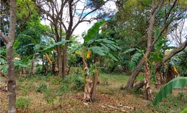 OPORTUNIDAD SE VENDE TERRENO  3,387MT2 Y CASA EN LOS ROBLES DE AGUADULCE COCLÉ