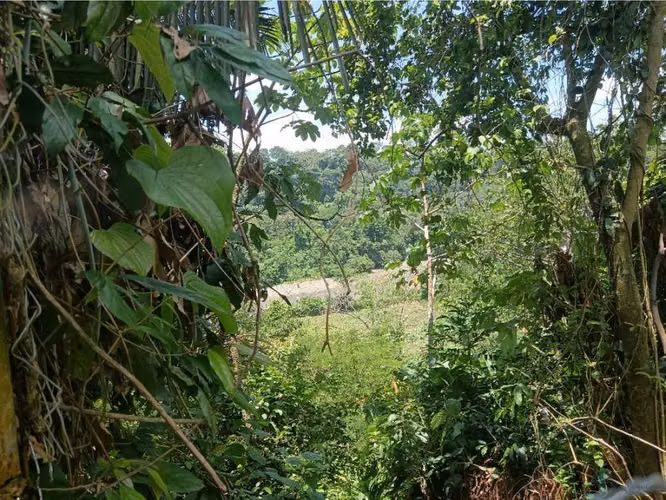 VENTA PROPIEDAD 1,600M2 CON 2 CASAS EN PASO CANOAS