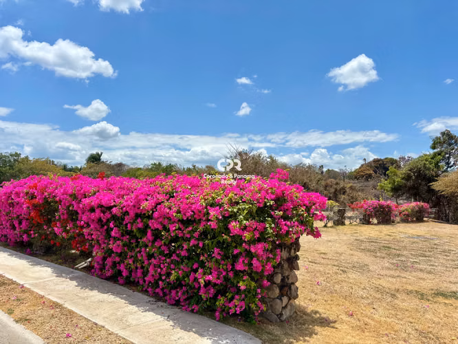 Venta de Terreno en Punta Barco Village - Imagen 2