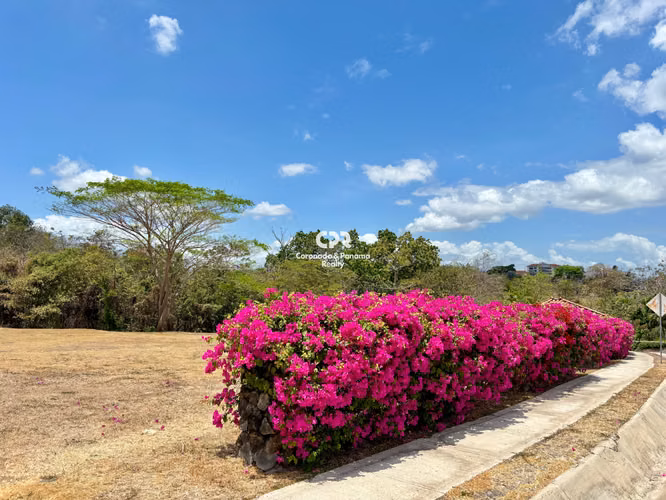 Venta de Terreno en Punta Barco Village - Imagen 3