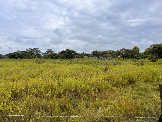 $165,000 EN HERRERA SE VENDEN 12 HECTAREAS A 5 MINUTOS DE LA INTERAMERICANA JB