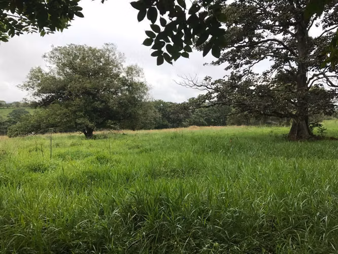 SE VENDE TERRENO EN MARIATO, VERAGUAS-PANAMÁ