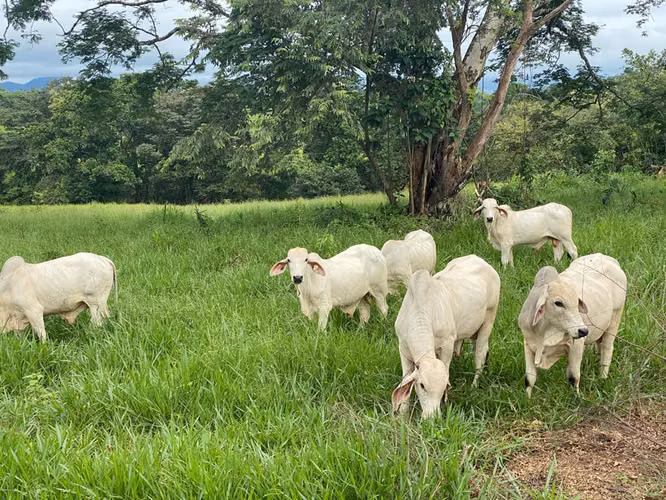 SE VENDE TERRENO EN MARIATO, VERAGUAS-PANAMÁ