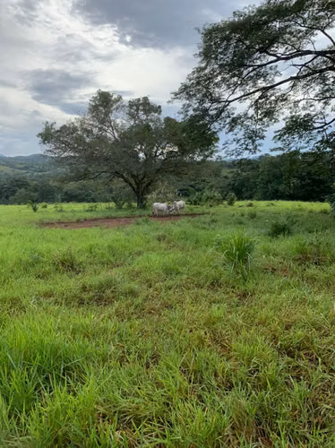 SE VENDE TERRENO EN MARIATO, VERAGUAS-PANAMÁ