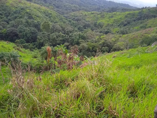 SE VENDE TERRENO EN MARIATO, VERAGUAS-PANAMÁ