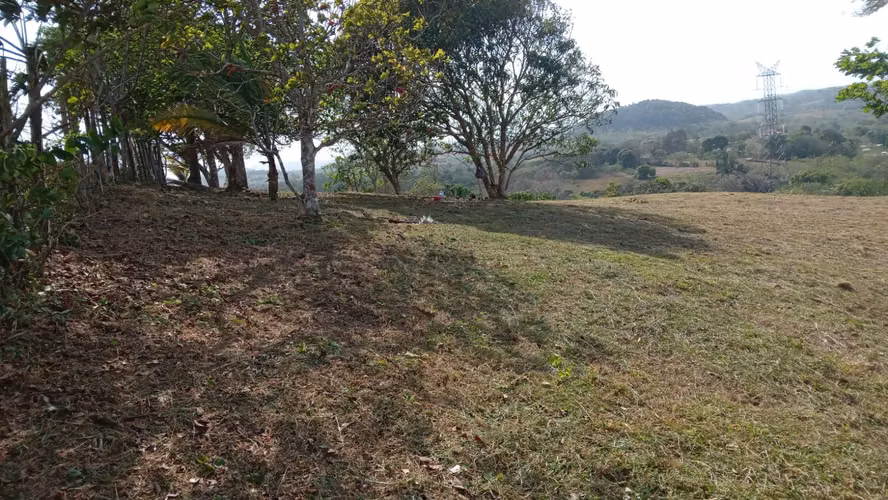 OFERTA-LA CHORRERA- POTRERO GRANDE, SE VENDE PROPIEDAD TITULADA, 10000 METROS