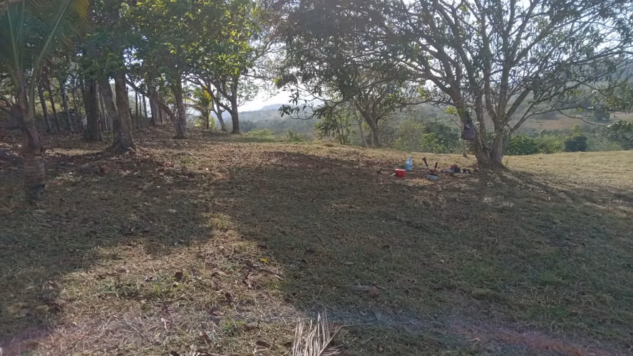 OFERTA-LA CHORRERA- POTRERO GRANDE, SE VENDE PROPIEDAD TITULADA, 10000 METROS