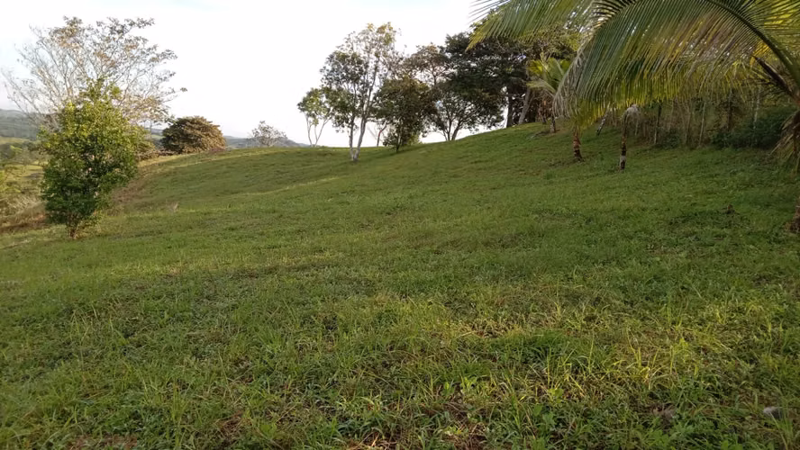 OFERTA-LA CHORRERA- POTRERO GRANDE, SE VENDE PROPIEDAD TITULADA, 10000 METROS