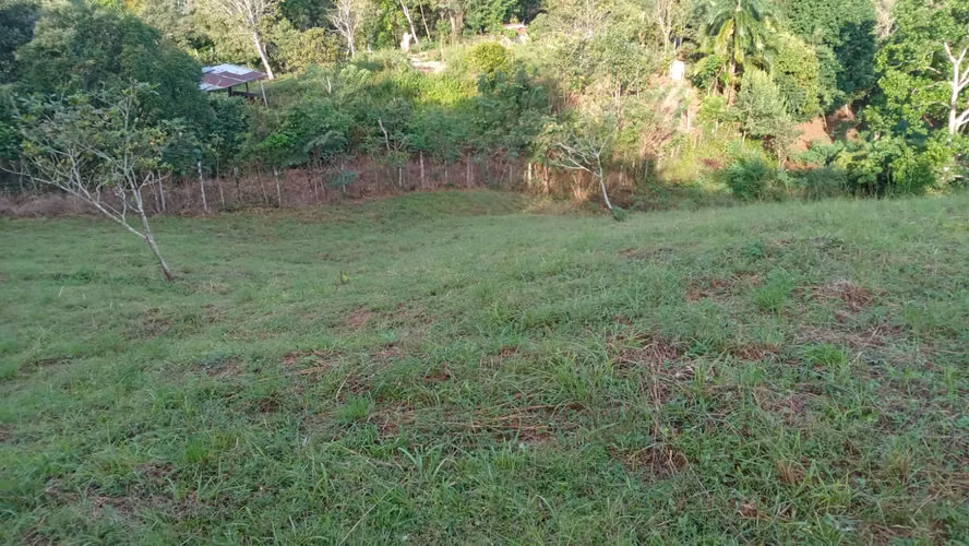 OFERTA-LA CHORRERA- POTRERO GRANDE, SE VENDE PROPIEDAD TITULADA, 10000 METROS