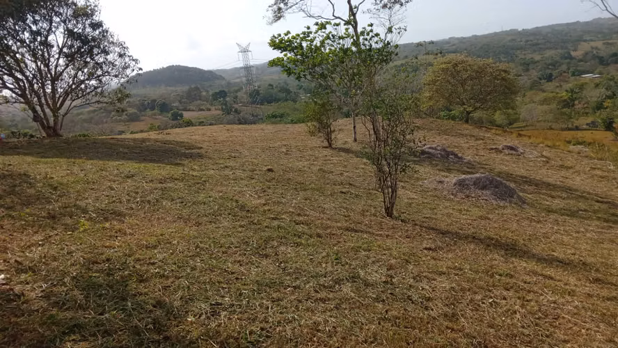OFERTA-LA CHORRERA- POTRERO GRANDE, SE VENDE PROPIEDAD TITULADA, 10000 METROS