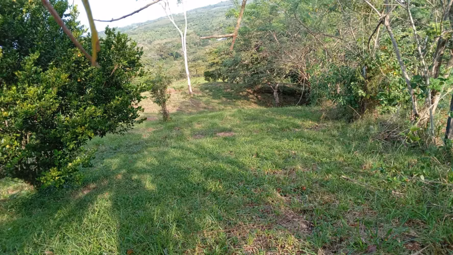 OFERTA-LA CHORRERA- POTRERO GRANDE, SE VENDE PROPIEDAD TITULADA, 10000 METROS