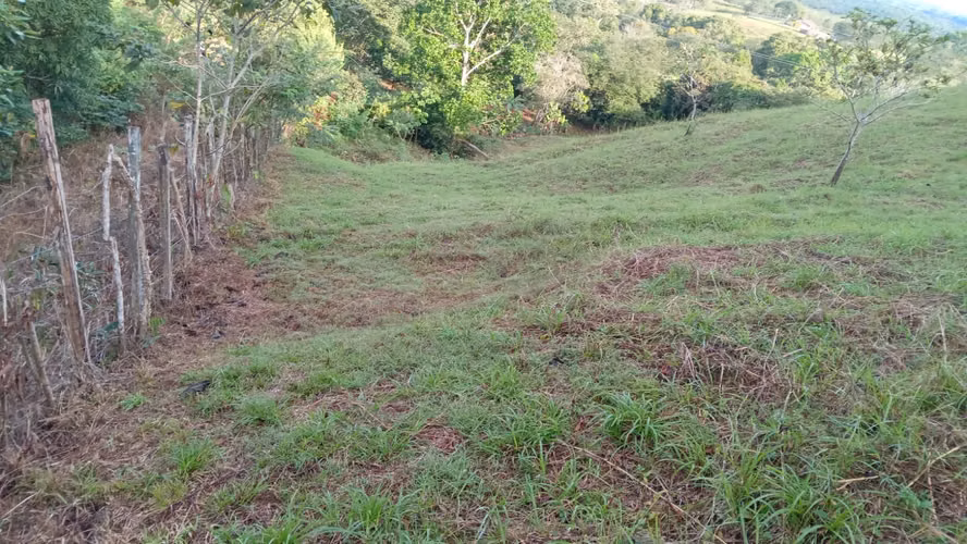 OFERTA-LA CHORRERA- POTRERO GRANDE, SE VENDE PROPIEDAD TITULADA, 10000 METROS