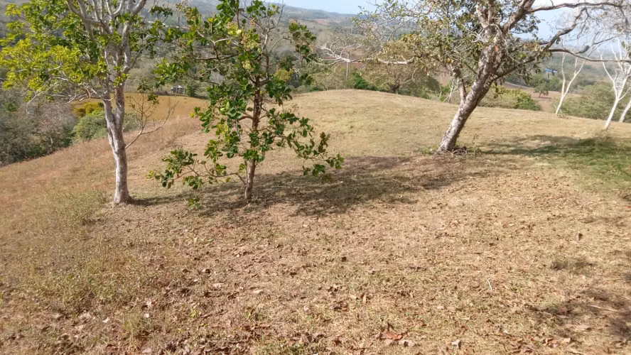 OFERTA-LA CHORRERA- POTRERO GRANDE, SE VENDE PROPIEDAD TITULADA, 10000 METROS