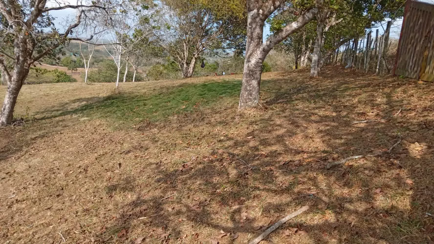 OFERTA-LA CHORRERA- POTRERO GRANDE, SE VENDE PROPIEDAD TITULADA, 10000 METROS