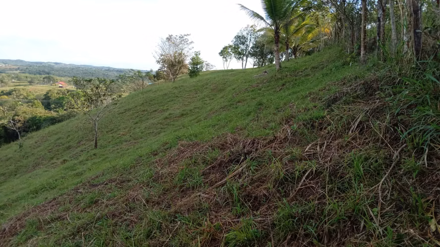 OFERTA-LA CHORRERA- POTRERO GRANDE, SE VENDE PROPIEDAD TITULADA, 10000 METROS