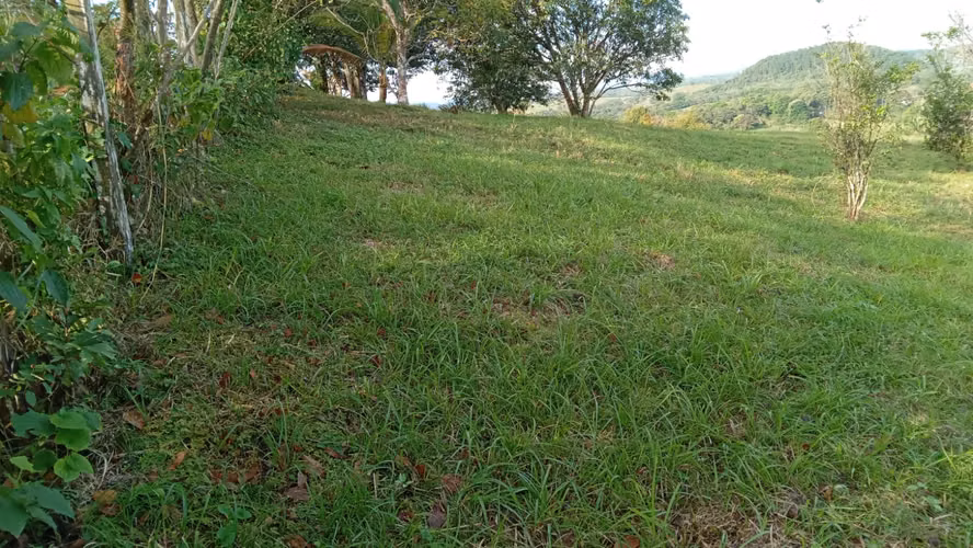 OFERTA-LA CHORRERA- POTRERO GRANDE, SE VENDE PROPIEDAD TITULADA, 10000 METROS