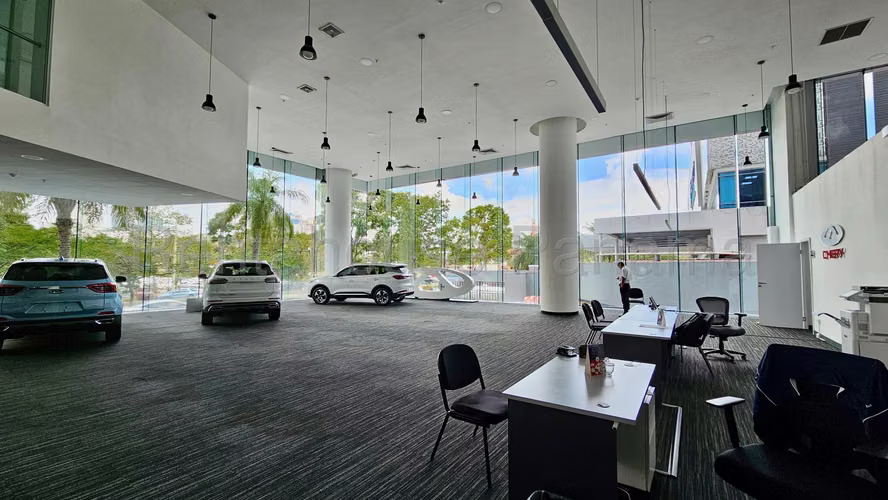 Local Comercial en Alquiler en Punta Pacífica AFC 26-7243